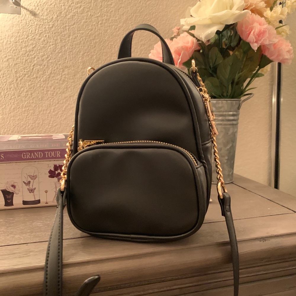 Small bag with gold detailing!